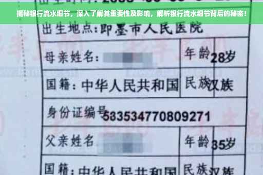 揭秘银行流水细节，深入了解其重要性及影响，解析银行流水细节背后的秘密！