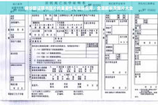 病诊断证明书图片的重要性与实际应用，全面解析及图片大全