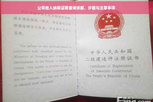 公司收入纳税证明查询详解，步骤与注意事项
