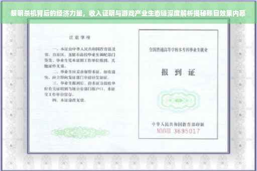 黎明杀机背后的经济力量，收入证明与游戏产业生态链深度解析揭秘账目效果内幕