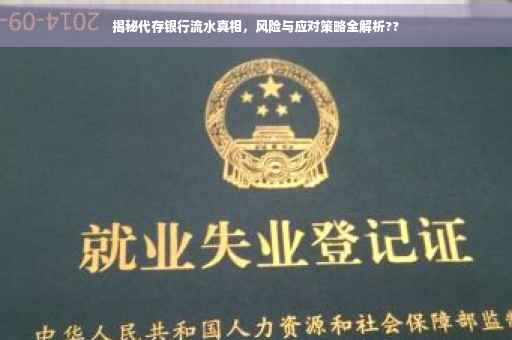 揭秘代存银行流水真相，风险与应对策略全解析??