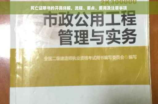死亡证明书的开具详解，流程、要点、费用及注意事项