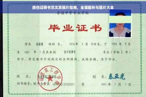 摔伤证明书范文及图片指南，全面解析与图片大全
