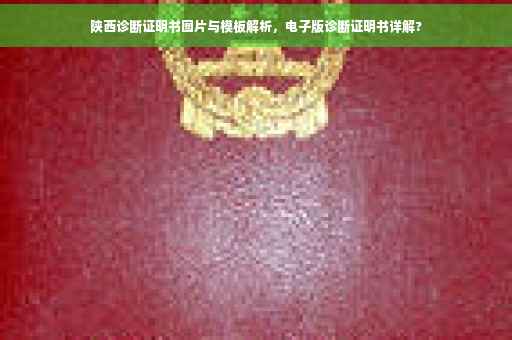 陕西诊断证明书图片与模板解析，电子版诊断证明书详解?