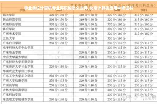 事业单位计算机专业评职称怎么去评,北京计算机应用中级证书