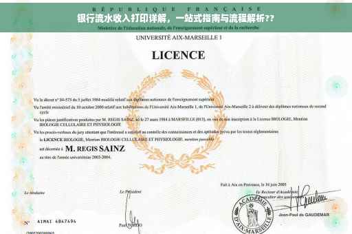 银行流水收入打印详解，一站式指南与流程解析??