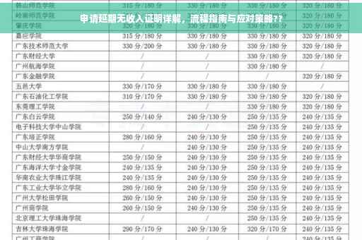 申请延期无收入证明详解，流程指南与应对策略??