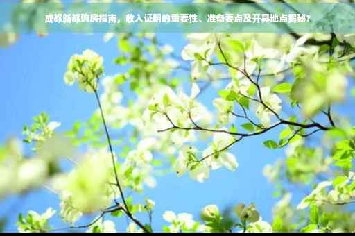 成都新都购房指南，收入证明的重要性、准备要点及开具地点揭秘?