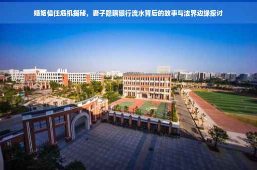 婚姻信任危机揭秘，妻子隐瞒银行流水背后的故事与法界边缘探讨