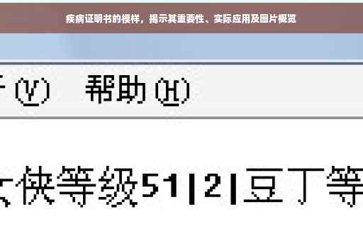 疾病证明书的模样，揭示其重要性、实际应用及图片概览