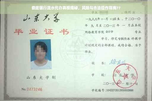 娄底银行流水代办真相揭秘，风险与合法操作指南??