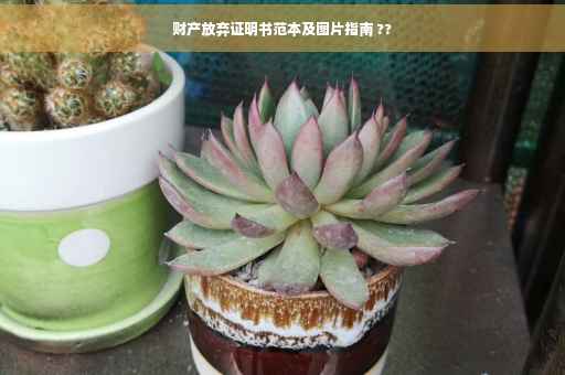 财产放弃证明书范本及图片指南 ??