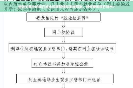 借款关系中的银行流水深度解读与实操指南，如何查询银行流水？