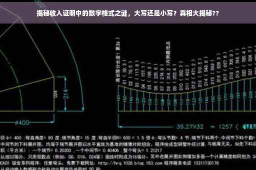 揭秘收入证明中的数字格式之谜，大写还是小写？真相大揭秘??