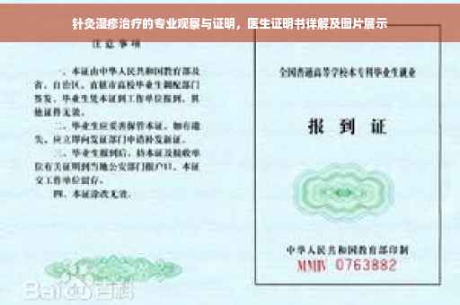 针灸湿疹治疗的专业观察与证明，医生证明书详解及图片展示