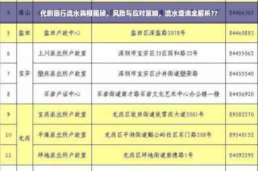 代删银行流水真相揭秘，风险与应对策略，流水查询全解析??