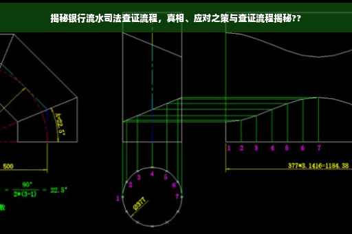 揭秘银行流水司法查证流程，真相、应对之策与查证流程揭秘??