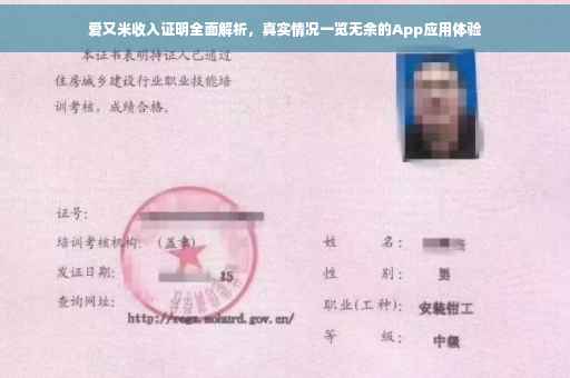 爱又米收入证明全面解析，真实情况一览无余的App应用体验