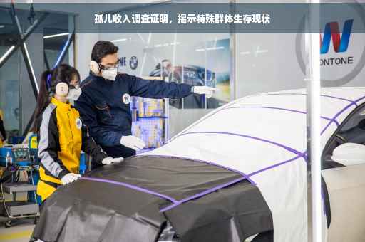 孤儿收入调查证明，揭示特殊群体生存现状