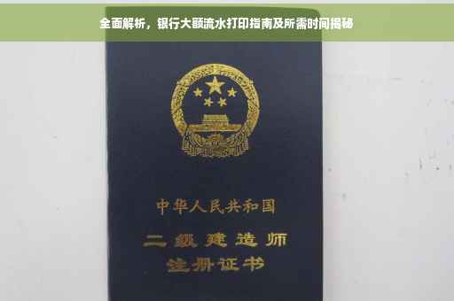 全面解析，银行大额流水打印指南及所需时间揭秘