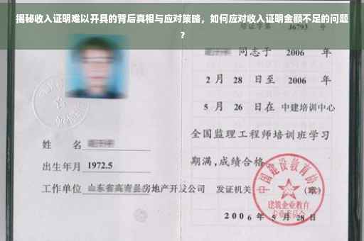 揭秘收入证明难以开具的背后真相与应对策略，如何应对收入证明金额不足的问题？