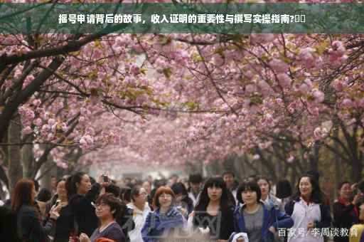 摇号申请背后的故事，收入证明的重要性与撰写实操指南?⚡️