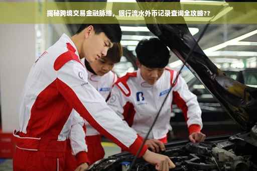 揭秘跨境交易金融脉络，银行流水外币记录查询全攻略??
