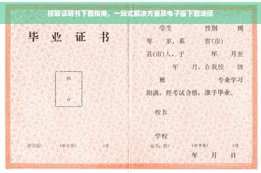 核酸证明书下载指南，一站式解决方案及电子版下载途径