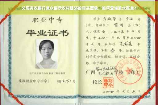 父母务农银行流水揭示农村经济的真实面貌，如何查询流水账单？