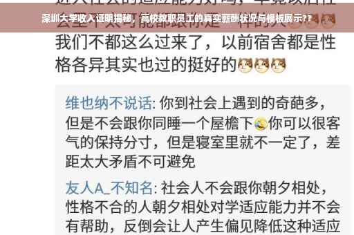 深圳大学收入证明揭秘，高校教职员工的真实薪酬状况与模板展示??