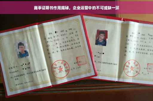 商事证明书作用揭秘，企业运营中的不可或缺一环