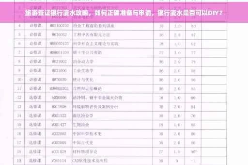旅游签证银行流水攻略，如何正确准备与申请，银行流水是否可以DIY？