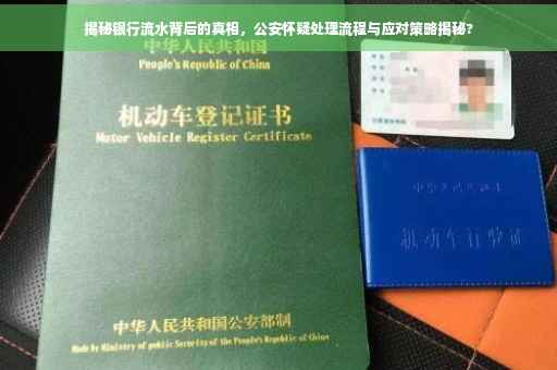 揭秘银行流水背后的真相，公安怀疑处理流程与应对策略揭秘?