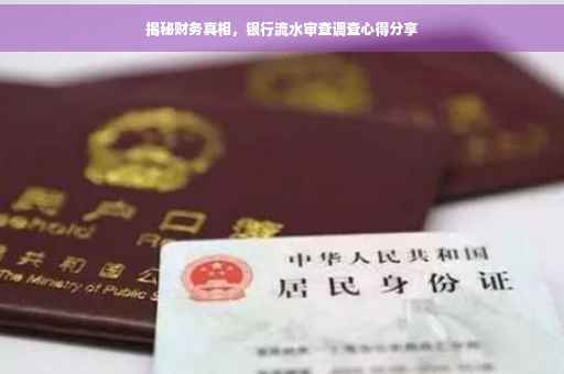 揭秘财务真相，银行流水审查调查心得分享
