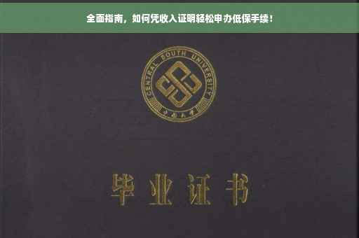 全面指南，如何凭收入证明轻松申办低保手续！