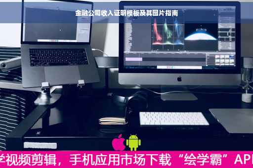 金融公司收入证明模板及其图片指南
