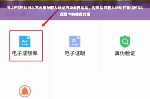 浙大MEM项目入学要求及收入证明的重要性解读，深度探讨收入证明在申请MBA课程中的关键作用