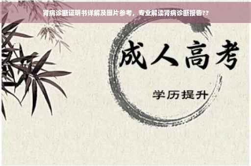 肾病诊断证明书详解及图片参考，专业解读肾病诊断报告??