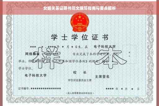 女婿关系证明书范文撰写指南与要点解析