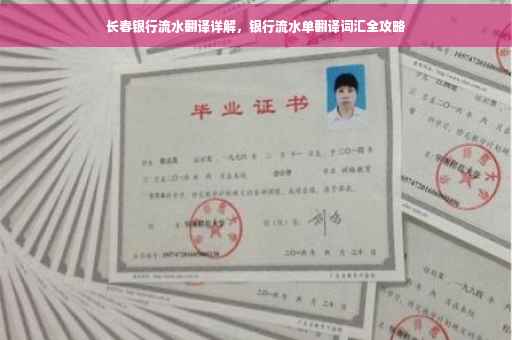 长春银行流水翻译详解，银行流水单翻译词汇全攻略