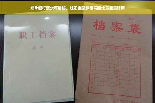 郑州银行流水账揭秘，城市金融脉络与流水章盖章指南