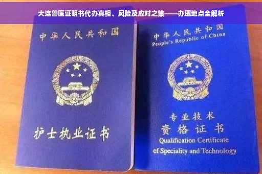 大连兽医证明书代办真相、风险及应对之策——办理地点全解析