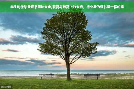 学生时代毕业证书图片大全,职高与普高上的大专，毕业后的证书是一样的吗