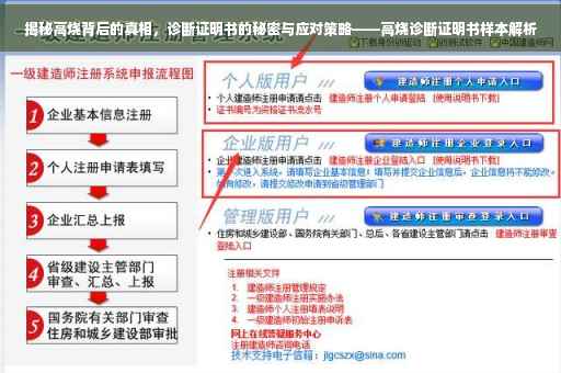 揭秘高烧背后的真相，诊断证明书的秘密与应对策略——高烧诊断证明书样本解析