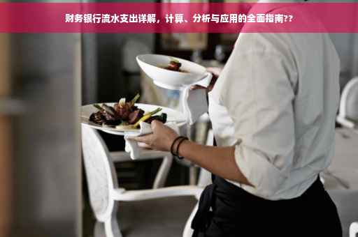 财务银行流水支出详解，计算、分析与应用的全面指南??