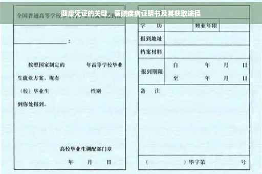 健康凭证的关键，医院疾病证明书及其获取途径