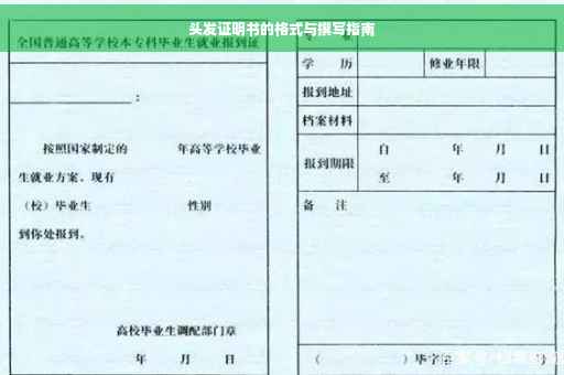 头发证明书的格式与撰写指南