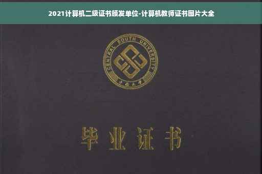2021计算机二级证书颁发单位-计算机教师证书图片大全