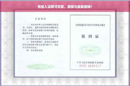 有收入证明可贷款，真相与策略揭秘?