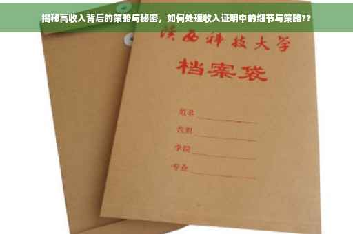 揭秘高收入背后的策略与秘密，如何处理收入证明中的细节与策略??